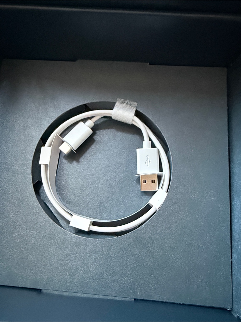 Logitech UE Fits Dawn wireless earbuds, moldable tips, charging cable - Picture 2 of 5